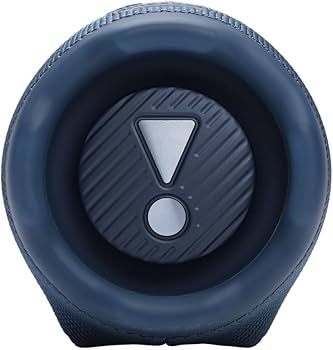 Amazon.com: JBL Charge 6 Waterproof Portable Speaker Bundle with